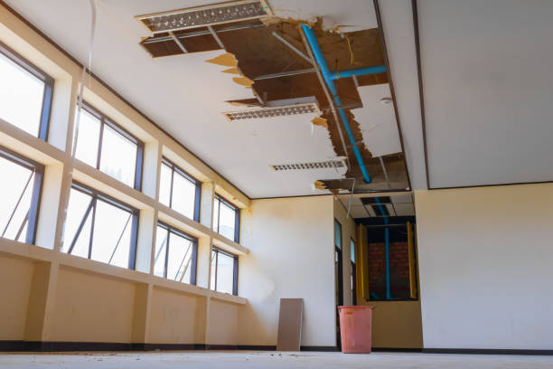 Best Mold removal after water damage  in Morrisville, NC