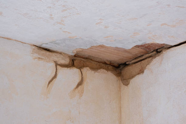 Best Basement water damage restoration  in Morrisville, NC