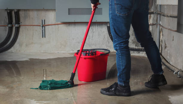Best Flood damage cleanup  in Morrisville, NC