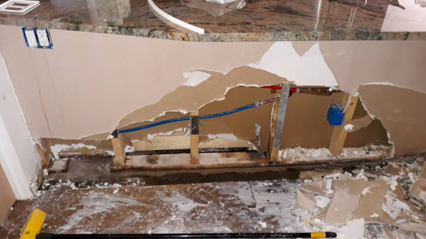 Best Water damage contractors near me  in Morrisville, NC
